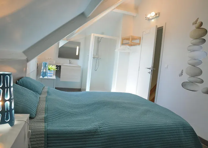 Nid Des Amis * 索姆勒兹